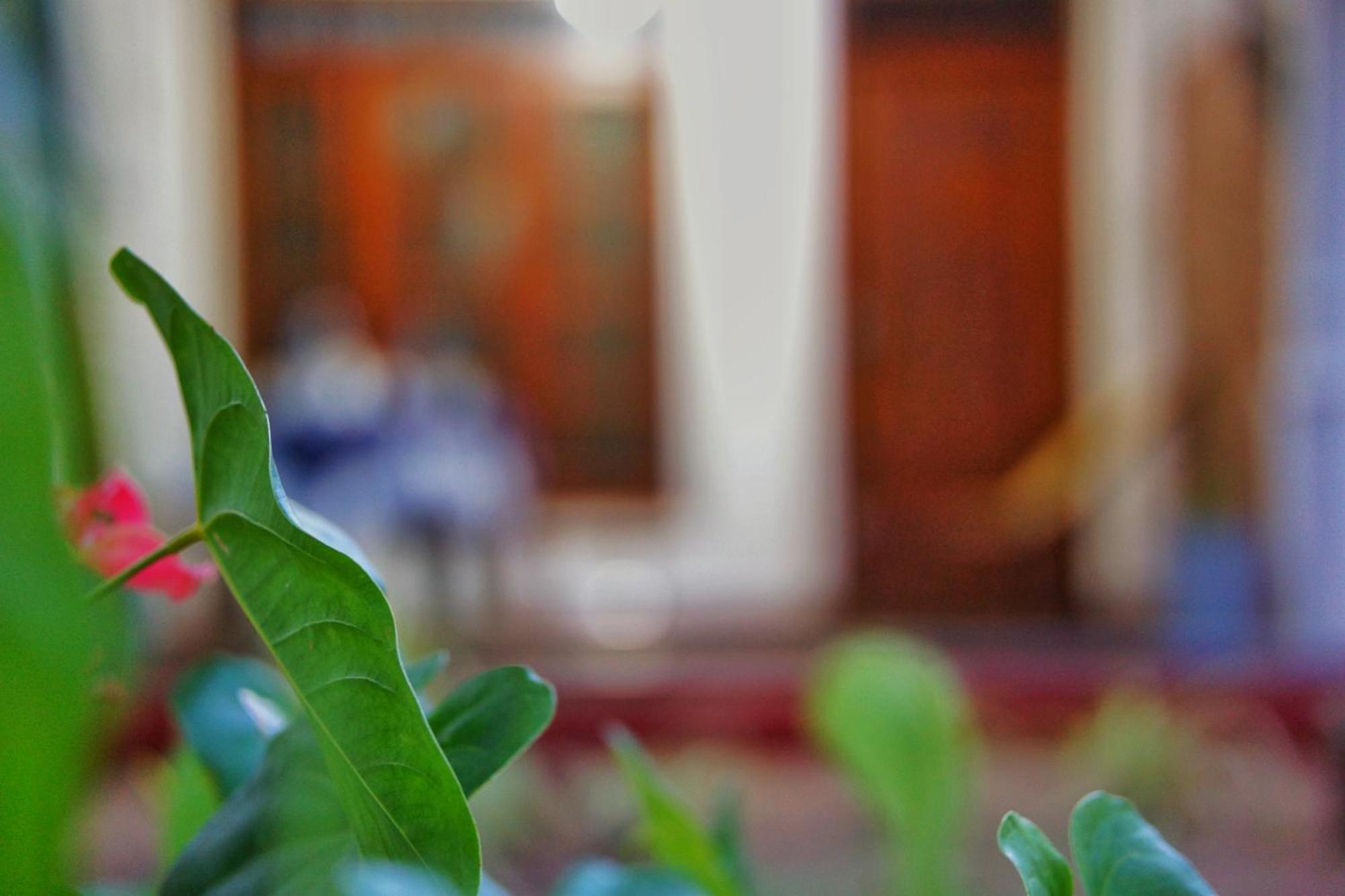 Lily'S Garden Resort สิกิริยา ภายนอก รูปภาพ